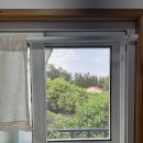 팜트리 빌리지 | 제주 서귀포시 숙소, 감성 독채 민박 [ 팜트리빌리지 ] 내돈내산 | 바베큐, 불멍가능