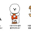 펫츠하우스 이미지
