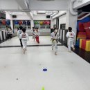용인대석사신평태권도장 네이버블로그