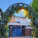 솔비디오 이미지