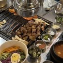 모요 이미지