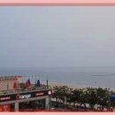 임실치즈피자 N치킨 이미지