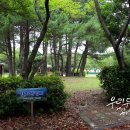 도립서귀포관악단 71회 정기연주회 네이버블로그