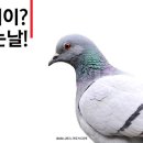 고기먹는날 이미지