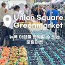 🌻유니언 스퀘어 그린마켓 | 뉴욕 여행 중 방문할만 한 로컬 시장 (feat.납작복숭아, 해바라기)