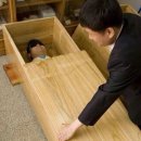 선자