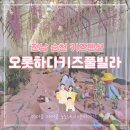 오롯하다 키즈풀빌라 순천 이미지
