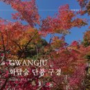 (주)이원조경 | 모노레일 온라인 취소표로 다녀온 곤지암 화담숲(주차, 식당, 탑승 후기까지)