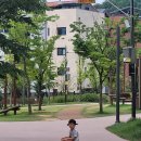 양원숲속도서관 | 양원 숲속 도서관 / 취학 전 천 권 읽기 / 일요일 도서관 루틴 시작