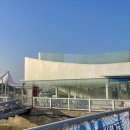 전곡스테이 | 화성 전곡항 데이트 낭만가득한 프라이빗 요트체험 전곡항선셋투어