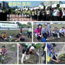 중랑천 제3체육공원 이미지