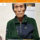 신사남