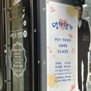 댕가댕가 이미지