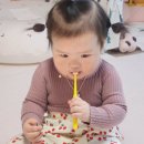 예꼬어린이집 | 어린이집 준비물로 챙긴 부드러운 유아 예꼬맘 아기 360 칫솔 솔직 후기