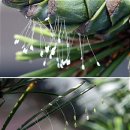 주식회사 스텝스인 이미지