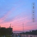 에이치오미디어 이미지