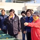 고흥유자향 이미지