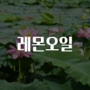 광민유통 | 레몬오일 숨겨진 효능과 주의점