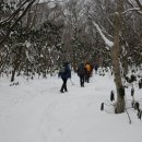 한라산백록담 이미지