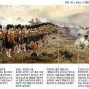 스포런 이미지
