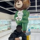 강아지분양 테디럽 이미지