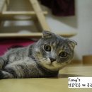 친구야놀러와