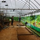 승희축사 이미지