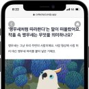더컬렉티드 이미지
