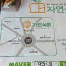 배스킨라빈스서산광장