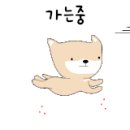 대동미용실 - 창원시 진해구 냉천로 84 | 대동미용실