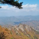 구봉산 Daum카페