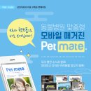운정힐링 동물병원 이미지