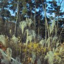 개경포기념공원 이미지