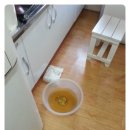 현대빌라 이미지