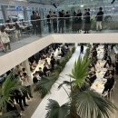 마레파티하우스 | 식물관 PH wedding - 결혼당사자 신부의 생생후기 (26년 상반기/보증인원 280명)