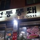 도선동똥돼지 이미지