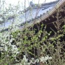 부윤농장 이미지