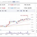 디와이상사 이미지