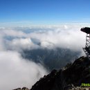 성공과 행복 이미지