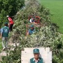 방동하리 이미지