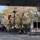 세강목욕탕 이미지