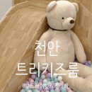 어몽트리그림공간 | 천안키즈룸 트리키즈룸 후기, 재방문의사 100%였던 찐이유