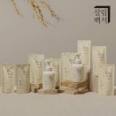 그린워시 | 라이스허브 핸드워시 딥그린시더우드 10개 세트 내돈내산 후기