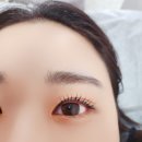 엠네일속눈썹 - 중랑구 동일로91길 23 | 엠네일속눈썹