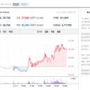 엔하코리아 이미지