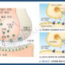 김해외국어고등학교 이미지