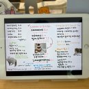 크림스테어에스프레소 | 이수역 카페/썸머스테어/글루텐프리 케이크/케이크맛집/당일레터링 케이크주문가능/