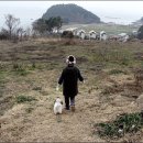 산책게스트하우스 이미지