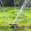 옥이텃밭 이미지