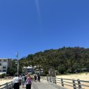[호주 브리즈번] 모튼 아일랜드 당일치기(탕갈루마 리조트) / 스노클링, 돌고래 먹이주기 체험